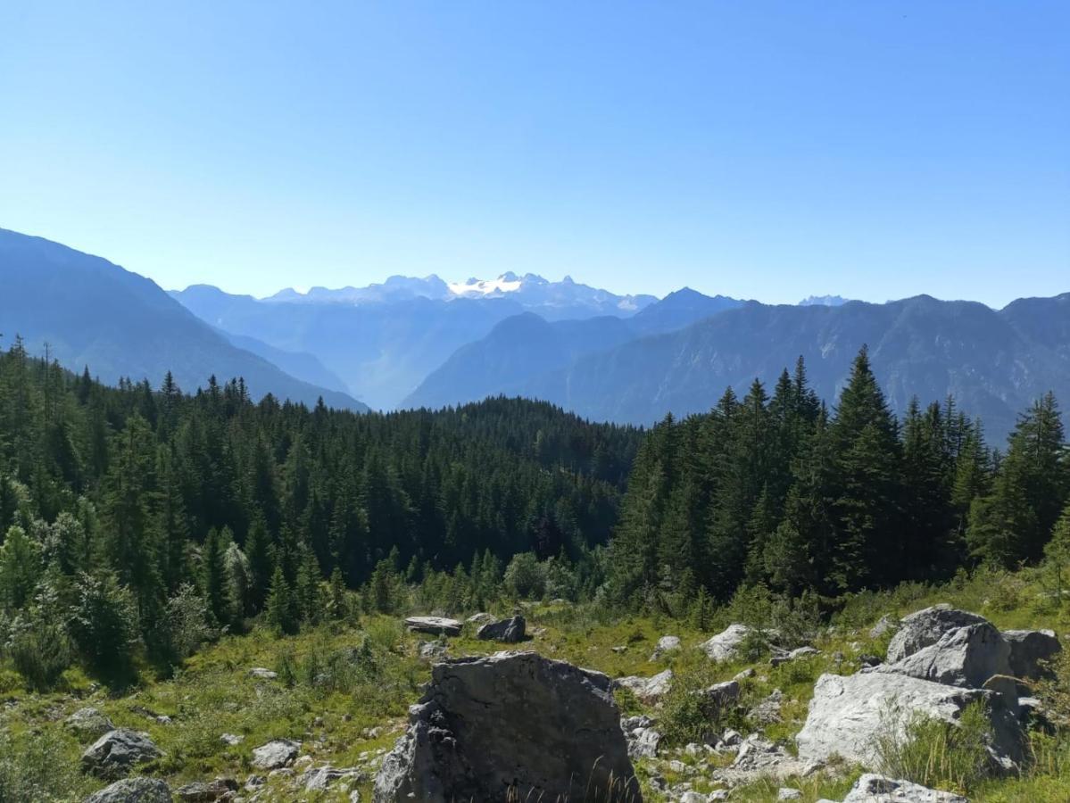 Apartmenthaus Hinterer Bad Goisern Esterno foto